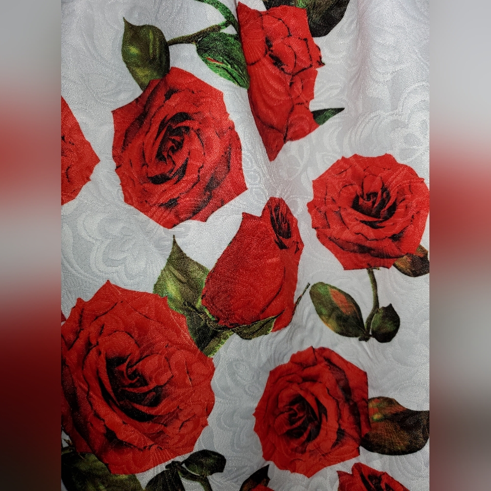 ModCloth Unique Vintage Chi Chi London High Tea Red Rose Formal Dress Size 20 - Picture 2 of 16